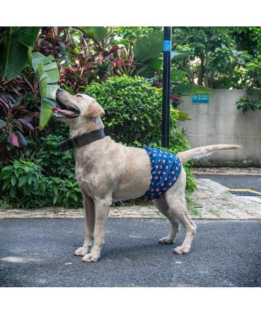 Cutebone Male Washable Dog Diapers - 3 Pack Reusable Belly Bands for Male Dogs | High-Suction Comfortable Fit | Flexible Velcro | XS (23-28cm) - Duck Dino & Fox Designs - Buy Online on GoSupps.com