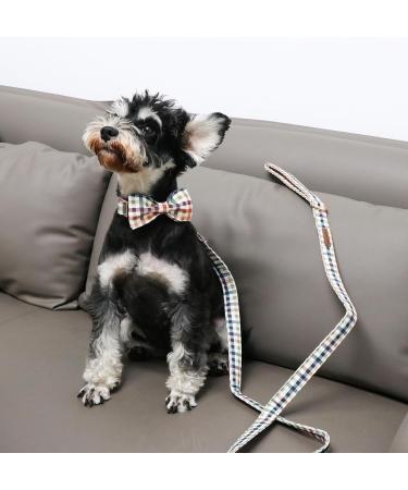 Shop Unique Style Paws Carded Dog Hales Band - Durable Cotton Dog Training Line for All Dog Sizes - Buy Online on GoSupps.com
