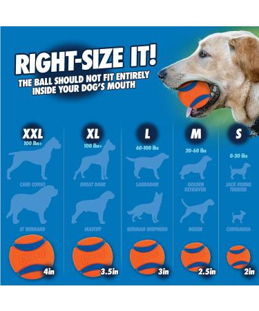Chuckit! Fetch & Fold Dog Ball Launcher Set - Hands Free Rubber Fetch Toy for Dogs - Buy Online on GoSupps.com