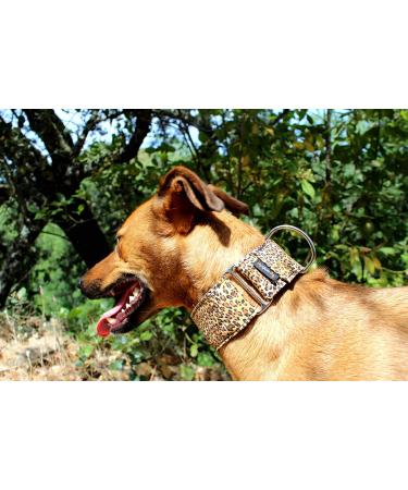 candyPet Martingale Dog Collar - Leopard | Adjustable 4cm Width for Small to Medium Dogs | Stylish & Durable Design - Buy Online on GoSupps.com