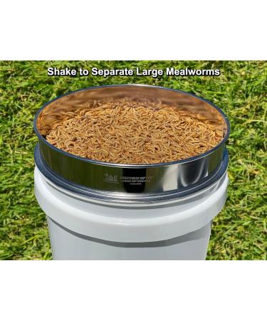 Mealworm Farming Solutions' Lightning Sifter Large Sifting Pan (D-11) - Buy Online on GoSupps.com