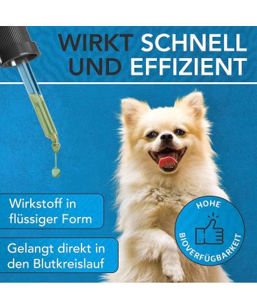 Vitamin B Complex for Dogs 30ml - Premium German Drops | Enhance Dog Health with Vitamin B - Buy Online on GoSupps.com