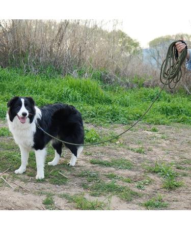 X XBen 20m Thick Dog Leash - Comfortable Padded Handle & Lockable Carabiner for Medium & Large Dogs - Perfect Training & Running Line in Dark Green - Buy Online on GoSupps.com