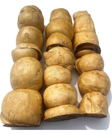 Beef Cheek Rolls Dog CHEW Treat - *(Peanut Butter 6 Pack 6 INCH)* - Original/Peanut Butter Flavors - Single Ingredient - Rawhide Free - Super Thick - All Natural - Long Lasting Beef Cheek Rolls PEANUT BUTTER 6 INCH 6 PACK - Buy Online on GoSupps.com