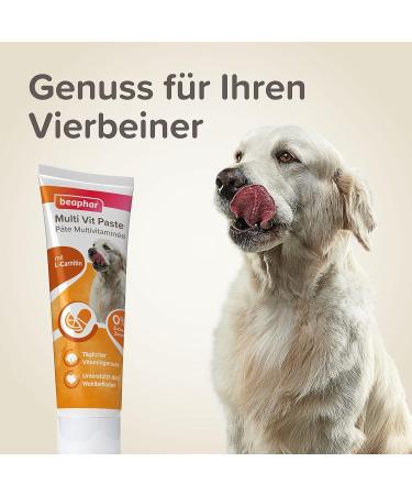 Beaphar Multi-Vitamin Paste for Dogs - 100g (Pack of 2) | Premium Dog Supplements for Health & Vitality - Buy Online on GoSupps.com