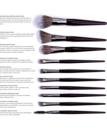 Mineral Makeup Set/Kit 17 Piece - Loose Powder Minerals COMPLETE SET - 2 Shades Foundation Setting Veil Bronzer Highlighter Concealer Primer & Professional Brush Set (Medium & Medium Beige) - Buy Online on GoSupps.com