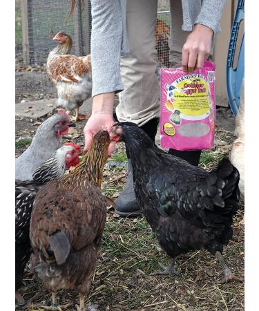 Farmers' Helper Cackleberry Nugget Treat 27 oz for Chickens, Turkeys, Peafowl, and More - Buy Online on GoSupps.com