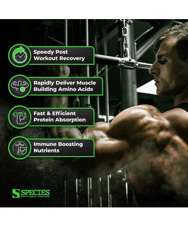 Species Nutrition Isolyze Whey Protein Powder - 100% Whey Isolate Protein for Muscle Building - 27.5g per Scoop - No Sugar, Low Fat (Coffee 22 Servings) - Buy Online on GoSupps.com