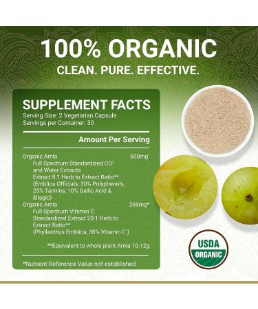 True Veda Everyday Essentials Bundle | USDA Organic | Multi-Award-Winning | Organic Ashwagandha KSM-66 + Organic Holy Basil with Vitamin B6 + Organic Amla with Vitamin C + Organic Moringa Capsules - Buy Online on GoSupps.com