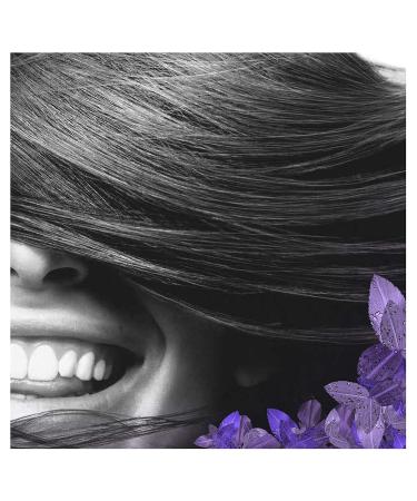 Buy SCENT-Sational Smooth Conditioner 200 ml | Nourishing Hair Care | International Shipping Available - Buy Online on GoSupps.com