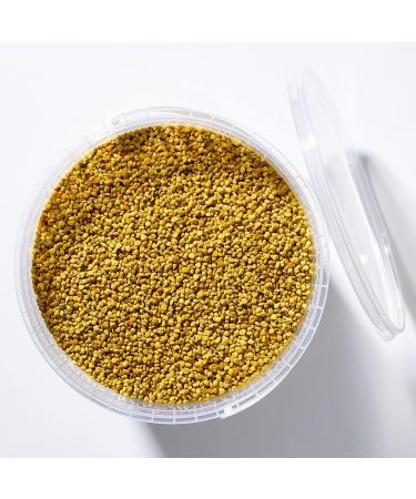 Earthbreath Bee Pollen Granules 1.5 kg - Pure Raw Natural Immunity Support - No Artificial Additives - Healthy Boost (Pack of 1) - Buy Online on GoSupps.com
