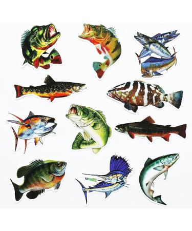 50Pcs Funny Fishing Rod Decals for Trucks, Windows, Boats - Grouper, Bass, Trout, Sailfish Stickers - Buy Online on GoSupps.com