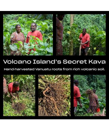 Kava Powder Noble Kava Kava Root Drink Vanuatu Traditional Grind Tea Calming Uplifting Heady Strong Natural Bitter Flavor Volcano Island's Secret 8oz Volcano Island's Secret 8 Ounce (Pack of 1) - Buy Online on GoSupps.com