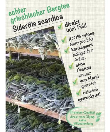 Buy Organic Mountain Tea Sideritis Scardica Loose Herbal Tea from Greece (250g) - Direct & Friendly Shipping Internationally - Buy Online on GoSupps.com