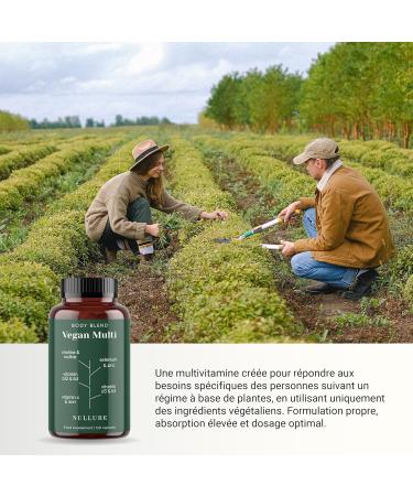 Nullure Vegan Multivitamin Food Supplement | Mineral Vitamins and Supplements for Vegan and Vegetarian Diets | Vit B12 + Vit D3 K2 Vegan + Iron + Iodine + Zinc | 4 Months - Buy Online on GoSupps.com