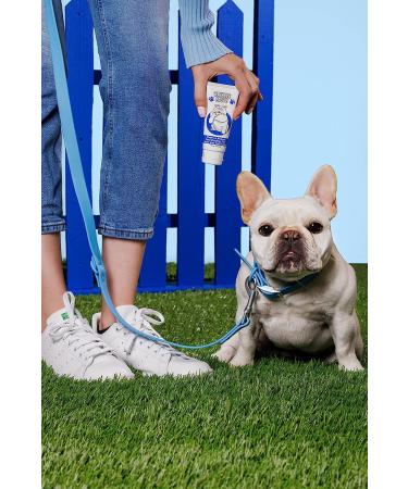 Squishface Wrinkle Paste 2 Oz - Cleans & Protects Dog Wrinkles - Buy Online on GoSupps.com