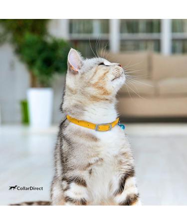 Collardirect Leather Cat Safety Collar with Elastic Belt & Bell - Adjustable 15-18 cm in Black Blue Red Orange Green Pink Yellow | International Shipping Available - Buy Online on GoSupps.com