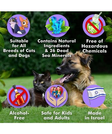 Arava Tear Stain Remover for Dogs & Cats - Natural & Effective Eye Cleaner - Buy Online on GoSupps.com