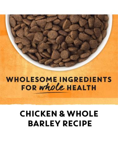 Beyond Simply Natural Dry Dog Food Farm-Raised Chicken & Whole Barley - 1.67 kg Bag 1.67 kg (Pack of 1) - Buy Online on GoSupps.com