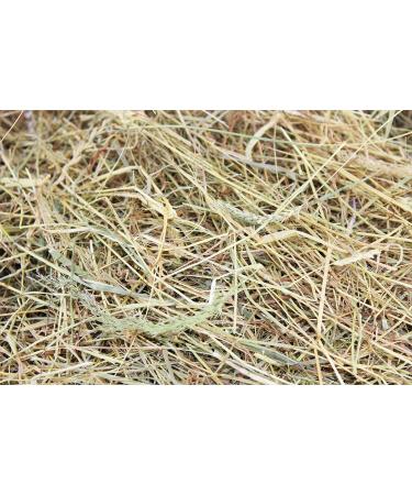 Hay - Bedding/Feed Meadow Hay ideal for Rabbits Guinea Pigs etc. 2kgs - Buy Online on GoSupps.com