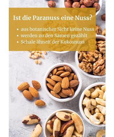 Organic Brazil Nuts 500g | Premium Freshly Filled Natural Nuts from Jalall D'or | International Shipping - Buy Online on GoSupps.com