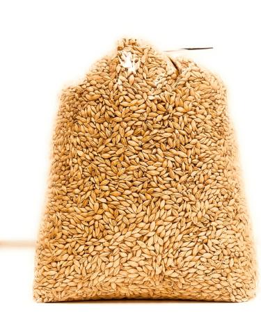 Barley 2.5kgs | sproutable | for cooking | milling for flour | high fiber | Sprout for Cat Teething Grass | supports weigh loss | Shipping with Sendle - Buy Online on GoSupps.com