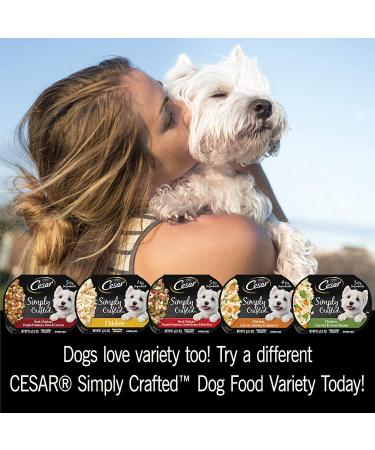 Cesar Simply Crafted Chicken & Sweet Potato Wet Dog Food Variety Pack - 1.3oz (Pack of 16) - Buy Online on GoSupps.com