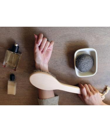 Japanese Body Brush for Bath or Dry Brushing - Exfoliation & Cellulite Treatment - Long Handle, Hard Bristles - Buy Online on GoSupps.com