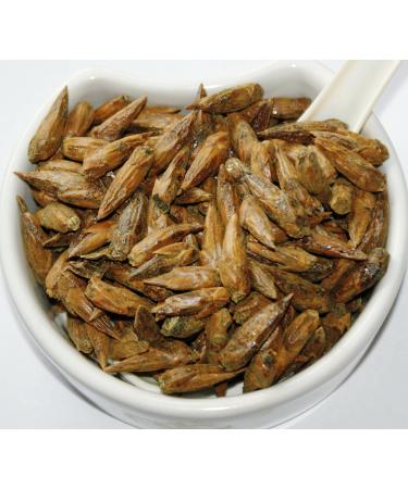 White Poplar Buds Tea | Populus Alba L | Bourgeons de Peuplier Blanc Tisane | Health Embassy (100g) - Buy Online on GoSupps.com