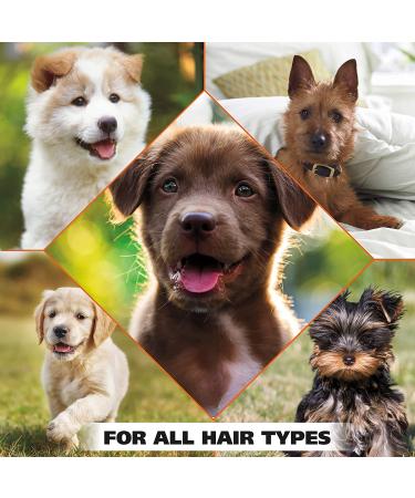Wahl Gentle Puppy Shampoo for Pets 24 Oz - Cornflower & Aloe Formula for Clean Grooming - Buy Online on GoSupps.com