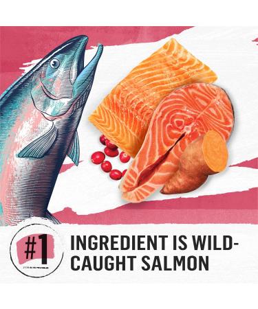 Beyond Grain Free Natural Dry Cat Food Indoor Cat Wild-Caught Salmon & Egg - 2.26 kg Bag 2.26 kg (Pack of 1) - Buy Online on GoSupps.com