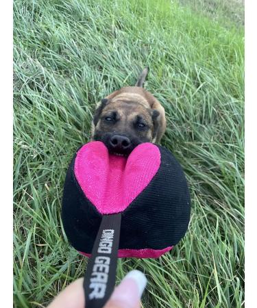 Dingo Gear Training Toys Ball 19cm - Black-Rosa with Handle | Durable Nylcott for IGP Obedience & Training Games - Buy Online on GoSupps.com