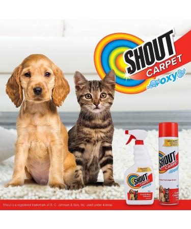 Shout Carpet Stain Remover & Odor Eliminator - 32oz Spray | Removes Tough Urine Stains, Prevents Retracking | Safe for Kids & Pets | Fresh Scent | Pack of 1 - Buy Online on GoSupps.com