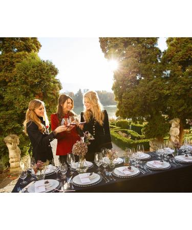 Riedel VINUM 'Chocolate' Crystal Syrah/Shiraz Glasses - Set of 2 - Buy Online on GoSupps.com