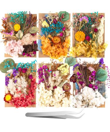 2 Random Boxes Pressed Dried Flowers Dried Flowers for Resin Real Dried Flower Leaves Mixed Pressed Flower Colorful Real Dried Flower with Tweezers for Resin Jewelry DIY Making Wedding - Buy Online on GoSupps.com