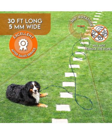 Sliridog 9.2m Dog Cable & Stake | Heavy-Duty Anchor for Large Dogs up to 86kg | Ideal for Courtyards Camping & Beach | Premium Outdoor Dog Pile (30ft Black) - Buy Online on GoSupps.com