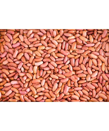 Hunza Organic Light Red Kidney Beans (2 lbs) 2 Pound (Pack of 1) - Buy Online on GoSupps.com