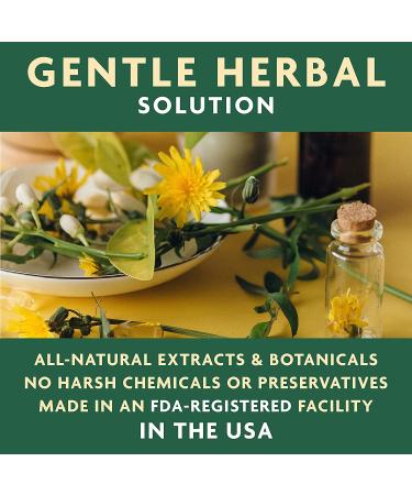 Vet Organics EcoSpot Natural Skin Soother & Disinfectant for Dogs & Cats - 4 fl oz - Buy Online on GoSupps.com