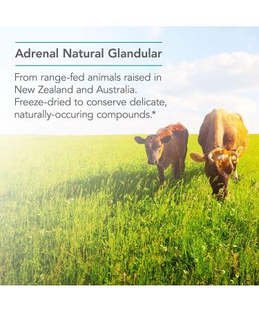 Buy Nutricology Adrenal Natural Glandular 150 Vegi Caps - Support Adrenal Health - Buy Online on GoSupps.com