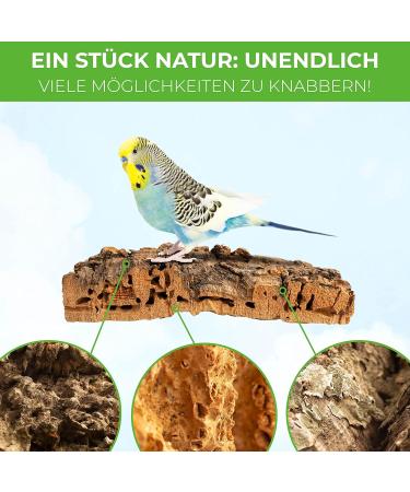 2 x Cork Seating Board for Birds - 10cm x 10cm 100% Natural Cork Fun with Fastening & 2 Nibbles - Perfect for Budgies - Buy Online on GoSupps.com