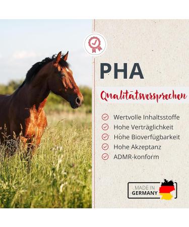 PHA Nutritional Supplement Support for the Maximum Load of Nervousness and Stress Powder Anti Stress 850 g - Buy Online on GoSupps.com