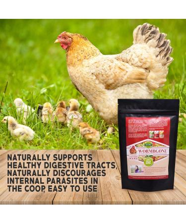 Non-GMO Backyard Chicken Nesting Herbs (5 oz) - Naturally Keep Parasites Worms and Other Pests Away Backyard Chicken Supplies Backyard Chicken Feed WormBGone 142 g (Pack of 1) - Buy Online on GoSupps.com