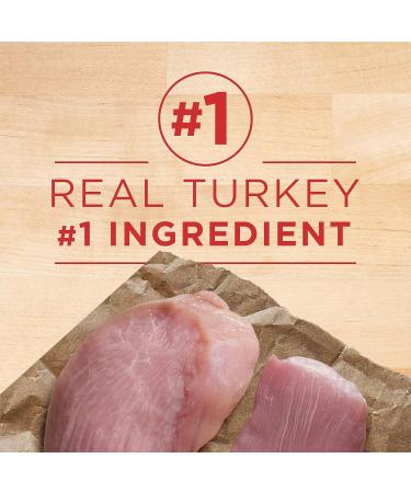 Purina ONE Senior Wet Dog Food Healthy Aging 7+ Turkey & Barley Entree - 368 g Can - Buy Online on GoSupps.com