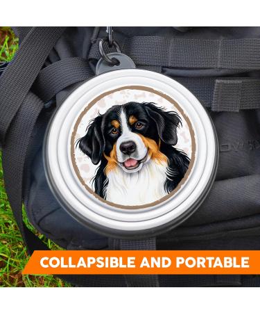 Berner Foldable Portable Drinking Bowl with Carabiner - Ideal Travel Pet & Food Bowl - Buy Online on GoSupps.com