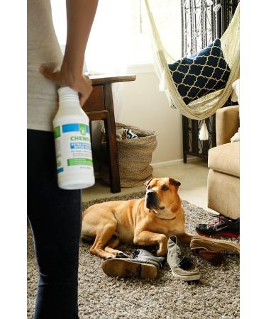 Chewfix Bitter Spray 8oz - No-Stain Pet Anti Chew Repellent for Cat & Dog Training - Stop Chewing with 365 Day Guarantee - Buy Online on GoSupps.com