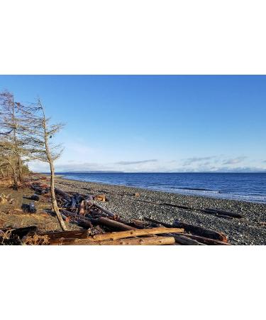Vancouver Island Flaky Sea Salt - 8.8 oz | Hand Harvested Large Flake Salt for Seasoning, Baking, Cooking & Finishing - All Natural - Buy Online on GoSupps.com
