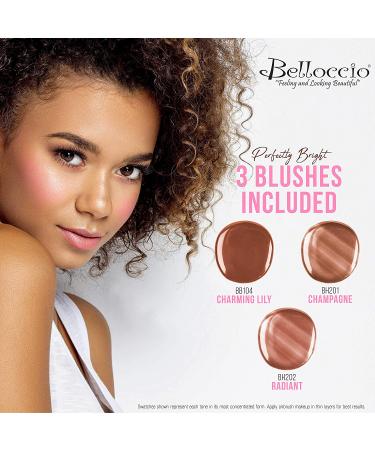 Belloccio Airbrush Makeup System Master Set - 17 Foundation Shades, Blush, Shimmer, Bronzer - Deluxe 1/2oz Bottles - Buy Online on GoSupps.com