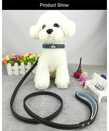 Newtensina Dog Collar and Lead Set Nylon Straps Woven Bling Collar Leather Diamante Puppy Collar with Leash for Dogs - Blue - S S Blue - Buy Online on GoSupps.com