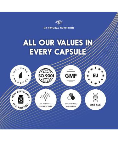 N2 Natural Nutrition L Carnitine 2000: High Concentration Energy Pills for Sports Performance & Muscle Recovery - 2 Months Supply - Buy Online on GoSupps.com