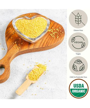 Be Still Farms Organic Hulled Millet Grain (5lb) - USA Grown | USDA Certified | Vegan | Non-GMO | High Fiber Whole Millet Seeds - Ideal for Cereal, Rice, Grits, and Salad - Buy Online on GoSupps.com